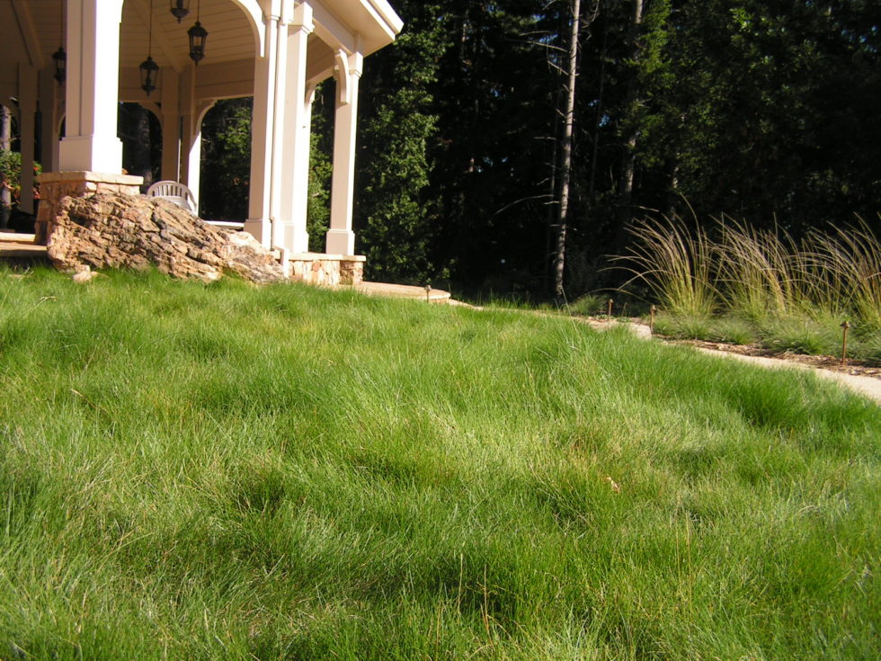 gazebo and grass