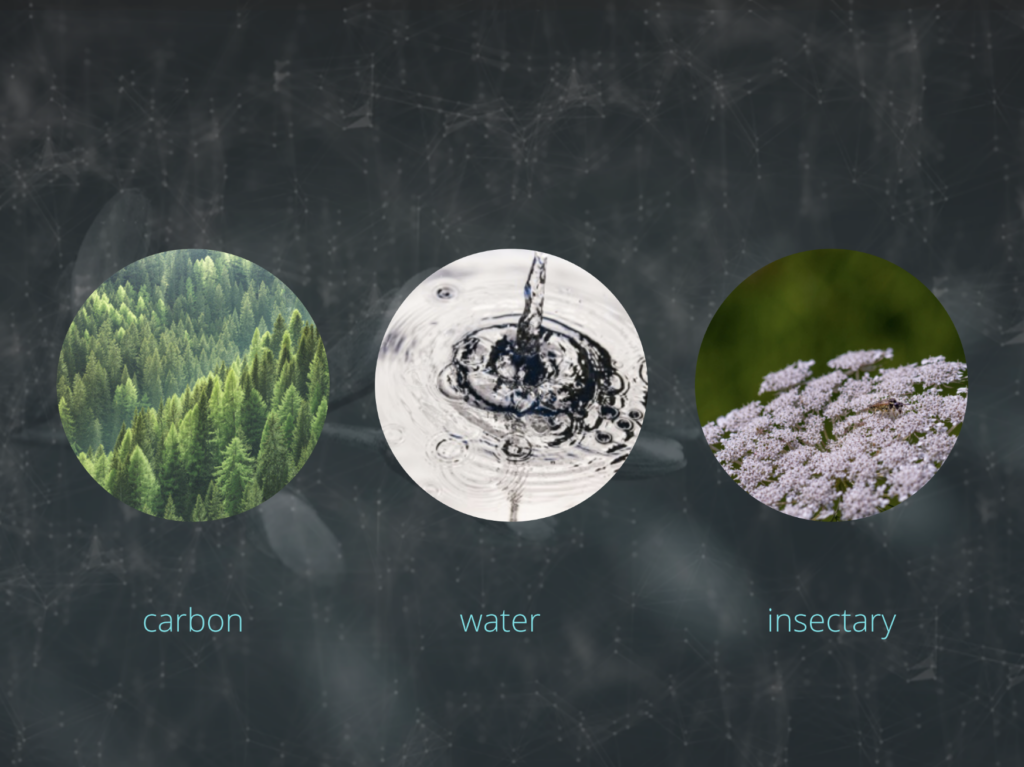 Carbon, water, insectary, the 3 pillars of Sandbox